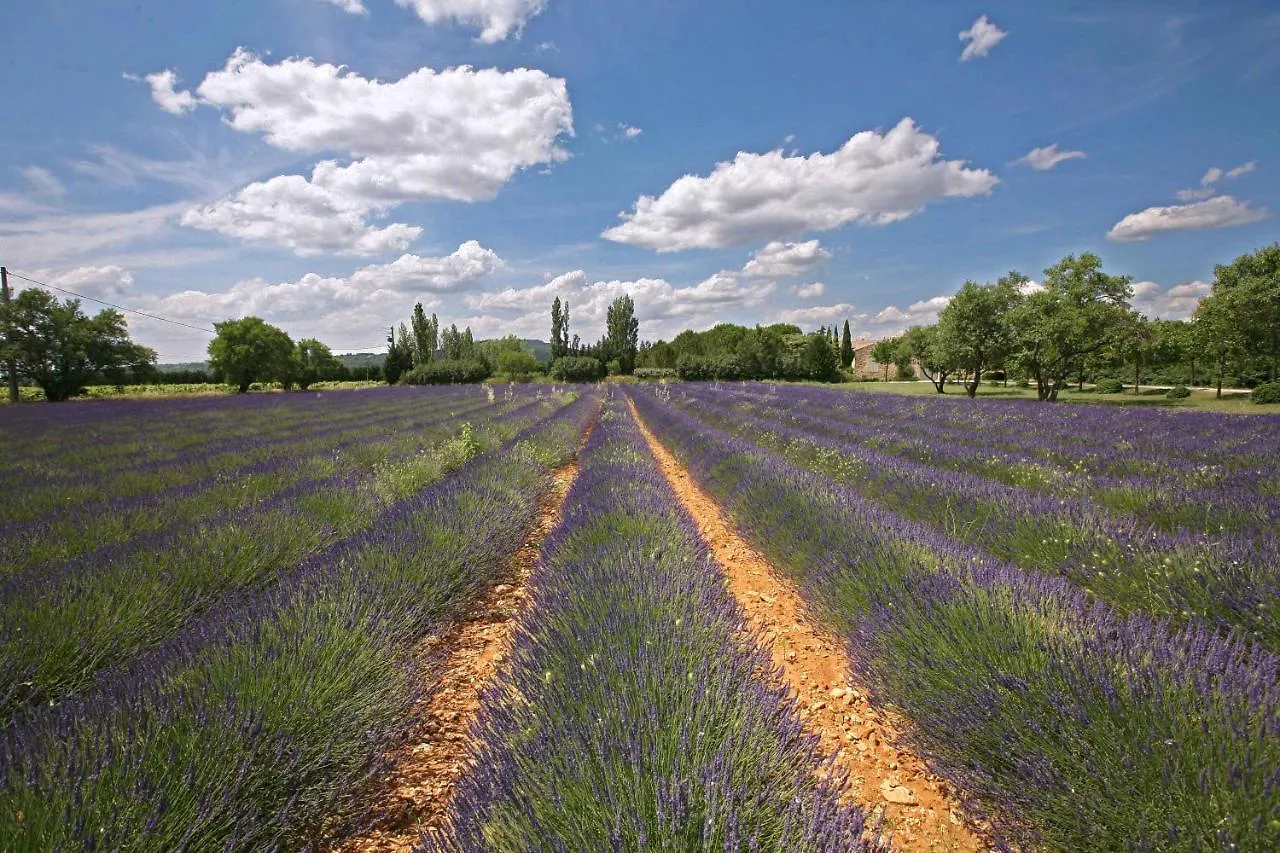 Gites Dans Mas En Pierres Robion en Luberon 0*,
